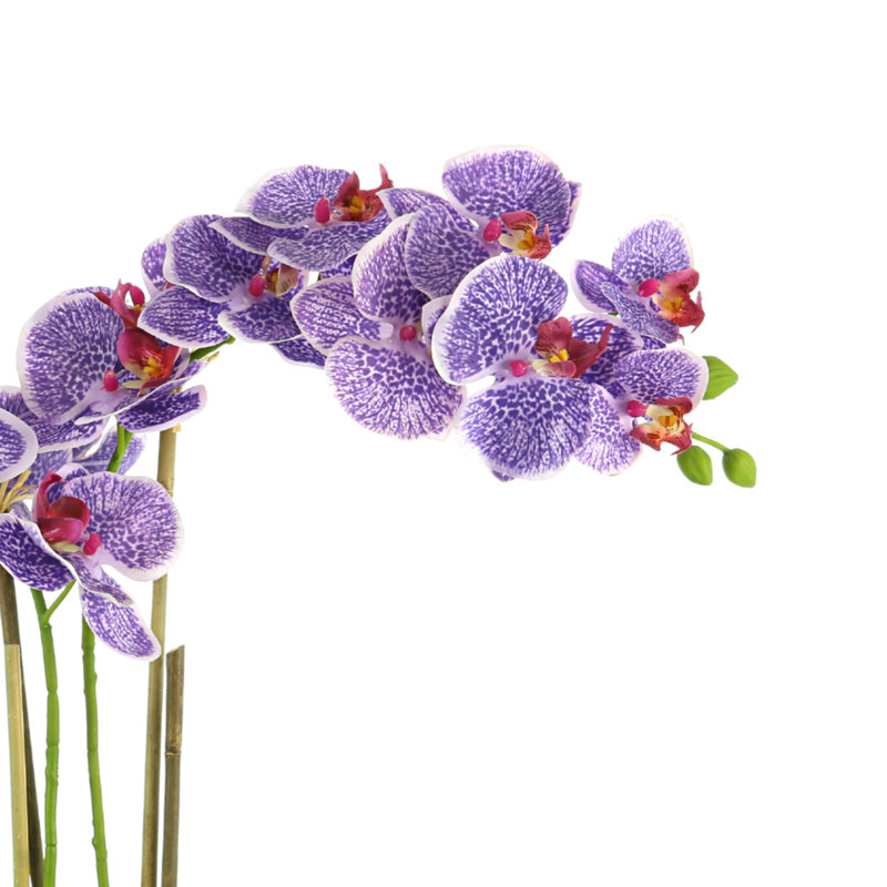 Orchid Arrangement in Vase, Purple