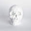 Figurine Muscogee-1644973162
