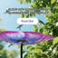 Birdbath For Garden Birds Watering Station 1 pièces