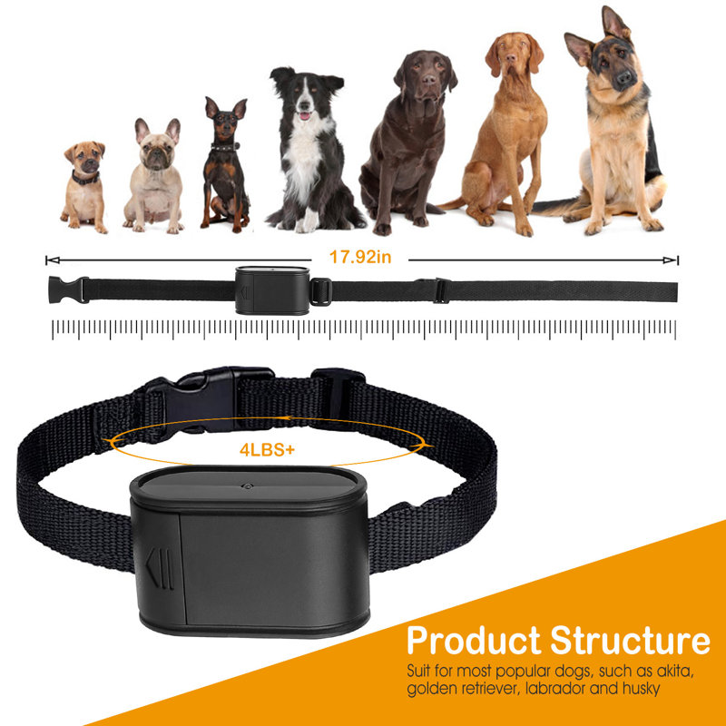 Récepteur de collier de choc pour animal de compagnie pour système de clôture pour chien électrique