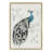 658 Peacock by Teju Reval Framed Canvas Wall Art Print-1813547845