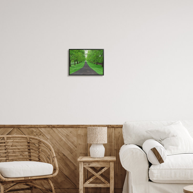 "Stupell Industries Tree Grove Path", art mural sur toile par Dennis Frates, Giclée encadrée noir minuit