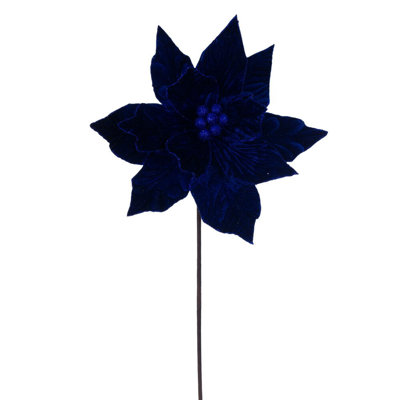 Tiges de poinsettias de Cleorand