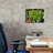  'Green Tree Python' by Tim Jeffs Canvas Wall Art-2080117652