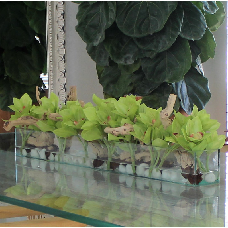 Casa Moderna Glass Plate Orchids Floral Arrangement in Planter