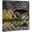 Parvez Taj - Wrapped Canvas Print-16671850