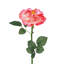 Garden Floral Rose Faux Floral
