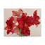 « fêtes amaryllis », reproduction de peinture à l’acrylique sur toile tendue-27490010