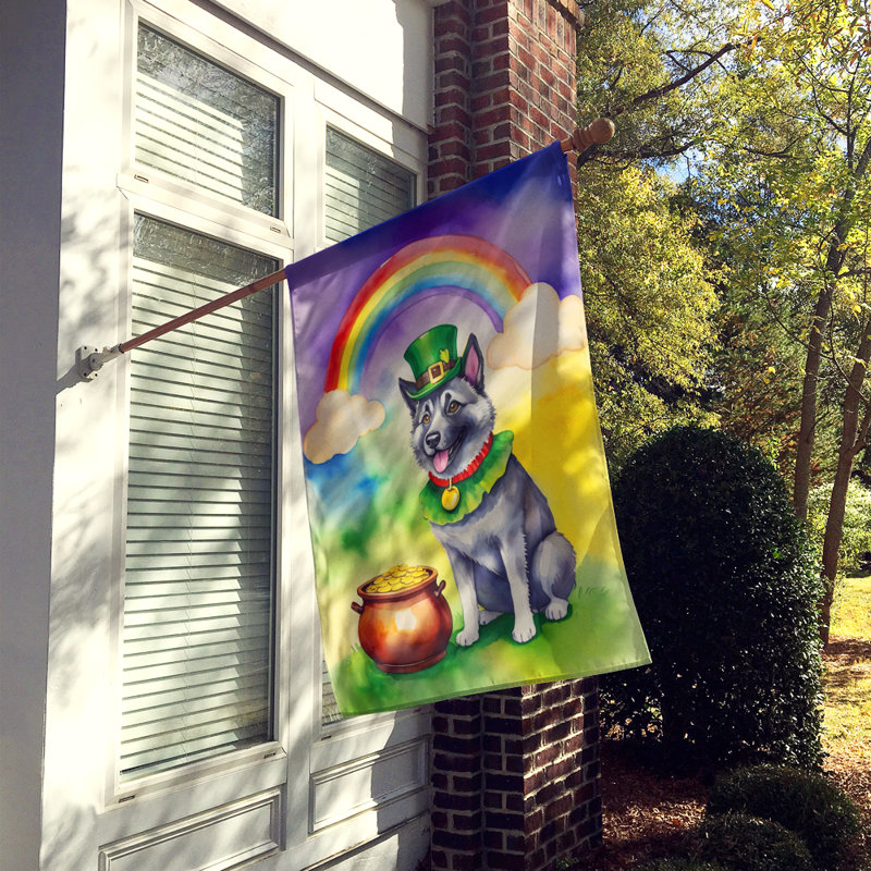 Drapeau double face en polyester H 40 po x l 28 po St Patrick's Day House