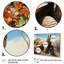 Tortue sur terre II - animaux, reproduction sur toile-1108687260-1108687235
