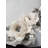 Carnival Fantasy Bust