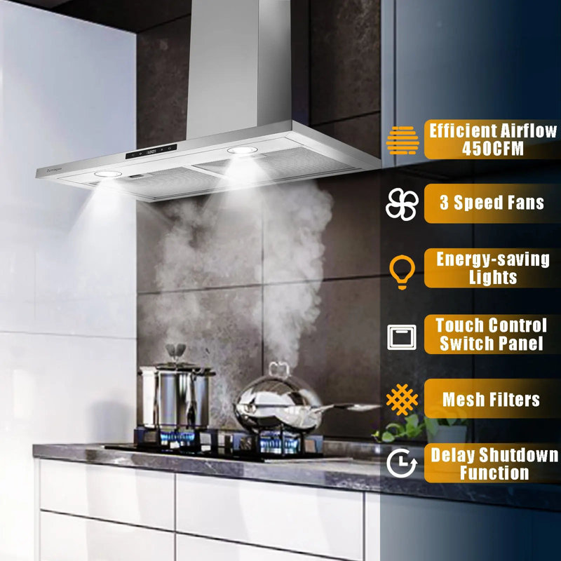 Hotte murale 30 pouces en acier inoxydable