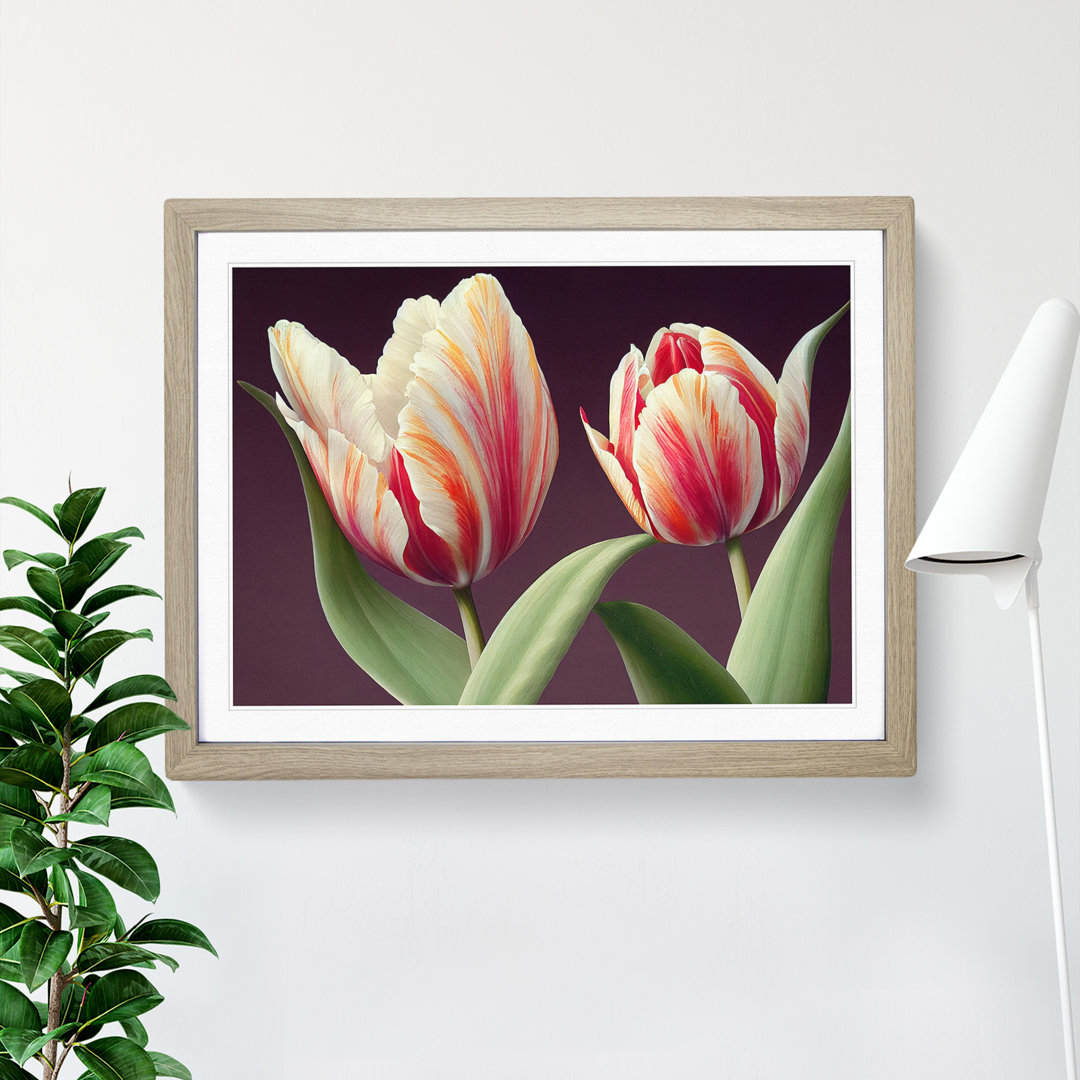Gentle Tulip Flowers - Single Picture Frame Print