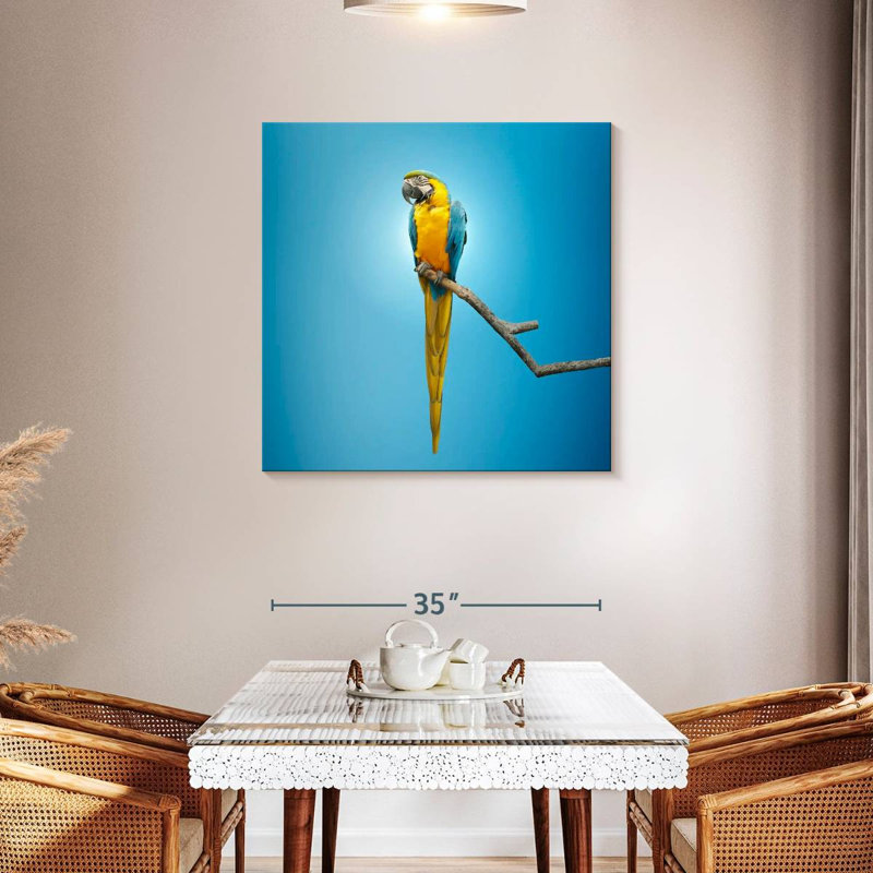 Crowle Macaw, 36" H x 36" W
