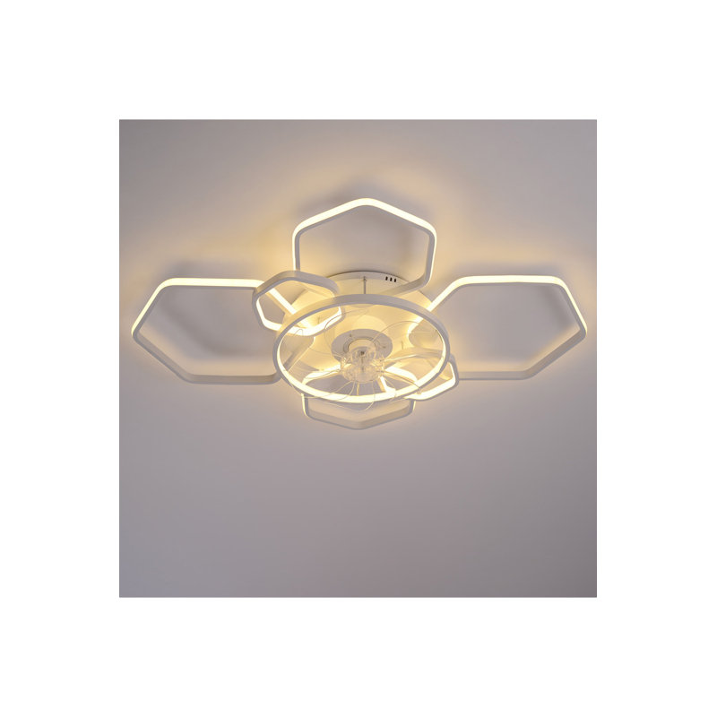 Ceiling Fan with LED Lights