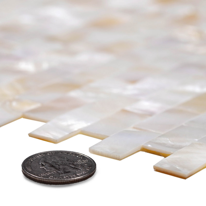 11" x 12" Seashell Linear Mosaic Wall & Floor Tile