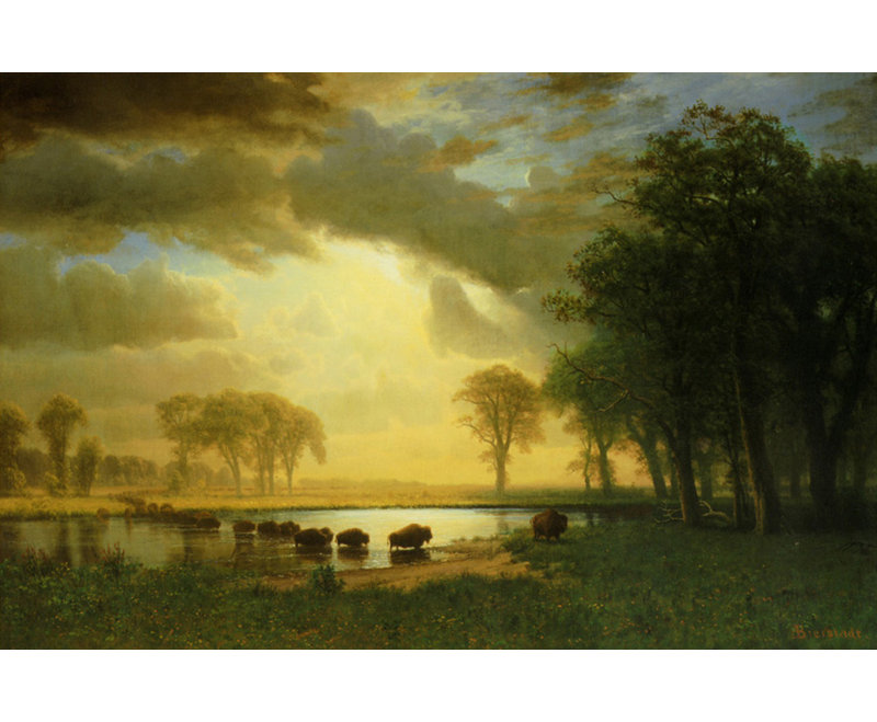 Le sentier Buffalo, c.1867 MCG-PF1077, H 26 po x l 40 po