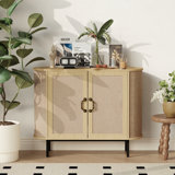 Ardzan 2-Door Accent Cabinet