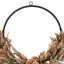 24 couronne