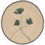 Ensemble de 4 napperons Seagrass Aria