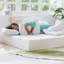 Matelas en mousse à mémoire de forme Alwyn Home Pacifica-36137274-32693600