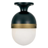 Capsule 1-Light Outdoor Semi Flush Mount