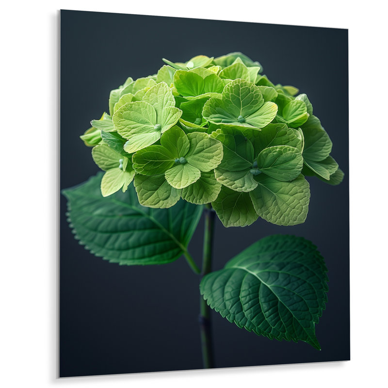 Élégant emblème vert gris hortensia, art mural hydrangées, Sans cadre, métal, H 12 po x l 20 po