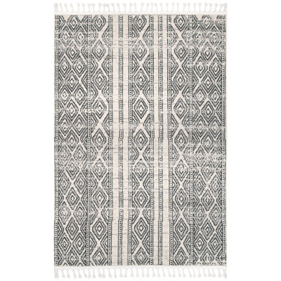 Southwestern Indoor Rug
