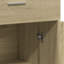 Oshyn 2 -Door Accent Cabinet-1738992783
