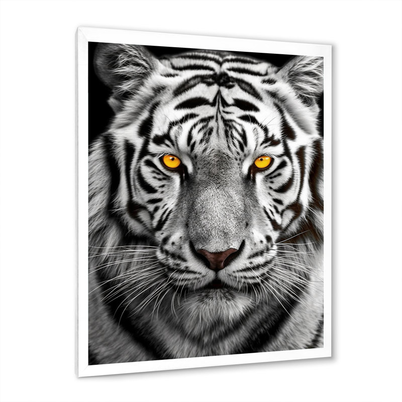 Tigre blanc féroce I - reproduction sur toile, H 44 po x l 34 po x P 1,5 po, Cadre simple blanc