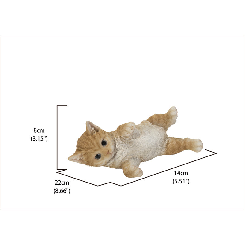 Chat couché