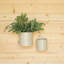 Daniels Ceramic / Porcelain Wall Vase-814090411