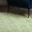 Addison Eastman Variegated Solid Lime-68068355