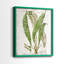 «Greenhouse Fern I», reproduction encadrée de qualité supérieure - prête à être accrochée - aucun clou requis - aucun clou requis-613840192-613840193