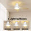 Ventilateur de plafond encastré avec lumière 46 po Aare-107097231