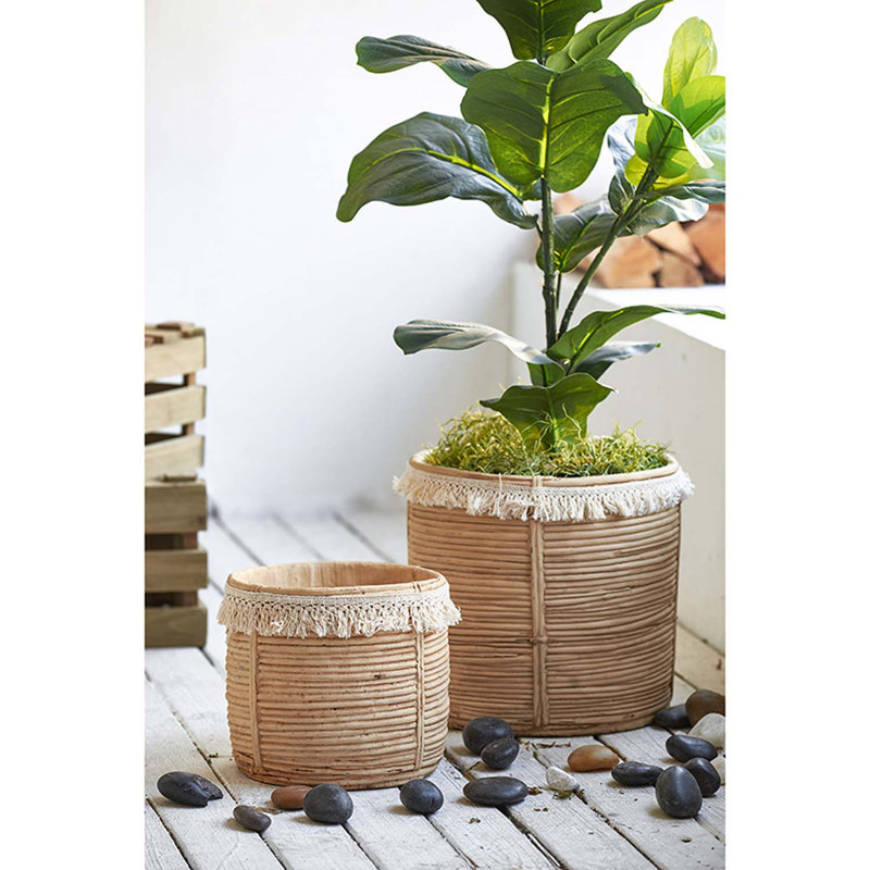 Pot Planter