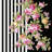 Premium Hall Carpet, 3D Digital Printed, 39.4 x 59.1 Inches | 100% Polyester, Antibacterial, Non-Slip Underside | Pile Height: 0.04 Inches, Machine Washable, Ideal for Living Room & Entryway Decor-1845953072