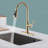 GAWEZA Pull Down Kitchen Faucet-93495161