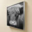 Nez de vache BW-100929014