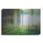 «Forest In Spring» par Marc Todd-1826160216