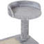 Plympton 101cm H Cat Tree