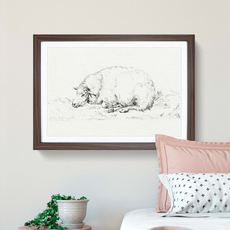 Resting Sheep by Jean Bernard - Picture Frame Drawing Print, Walnut Framed, 48cm H x 65cm W x 2cm D