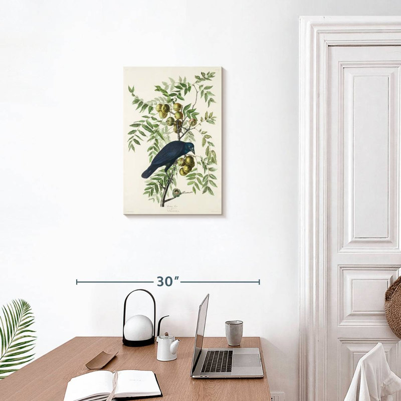 Brampt American Crow, 24" H x 16" W