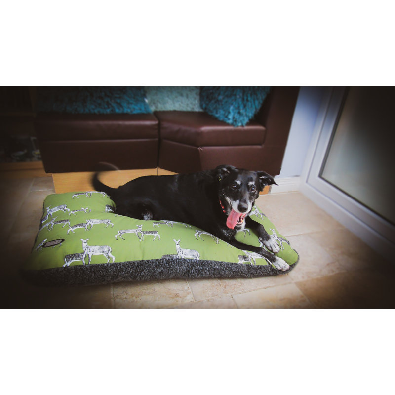 Bernstein Bolster, 120cm W x 90cm D x 3cm H