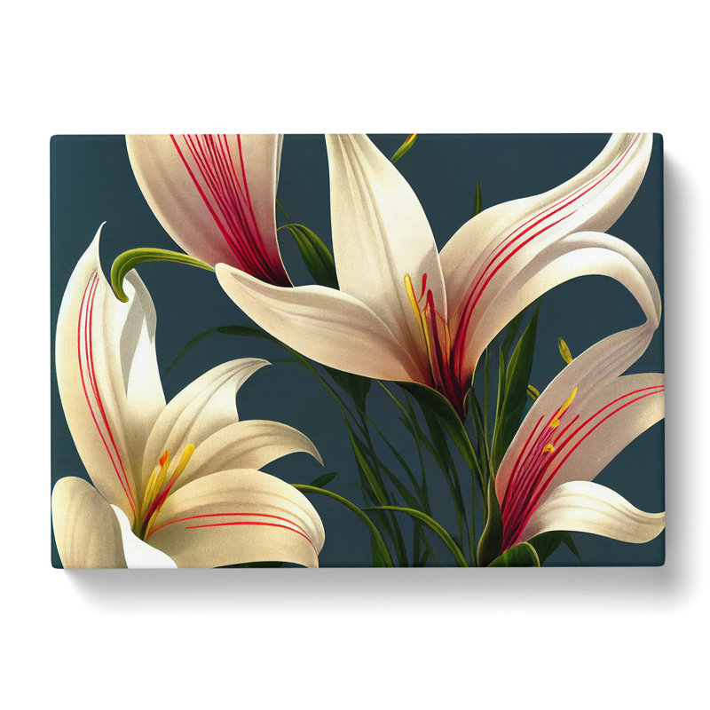 Bold Lily Flowers - Wrapped Canvas, 40cm H x 60cm W x 3cm D