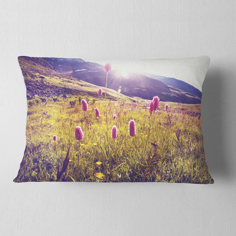 Coussin Mountain