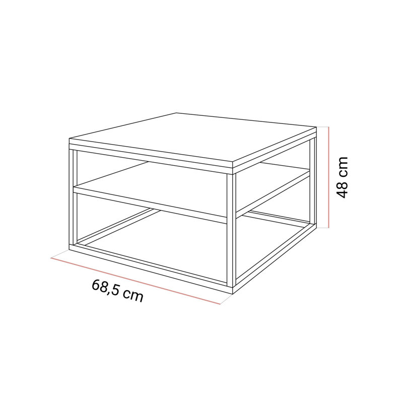 Apolonio Coffee Table with Storage Space, Stirling Oak/Black