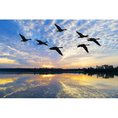 Flock of Geese Fly Through Breathtaking Autumn Sunrise Wall Art on Canvas