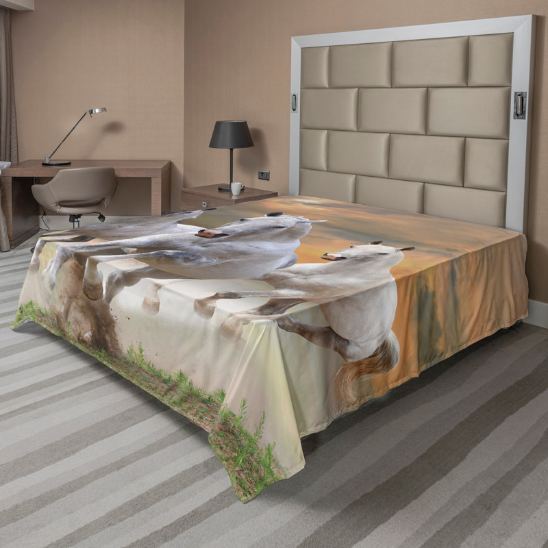 Drap-housse Ambesonne