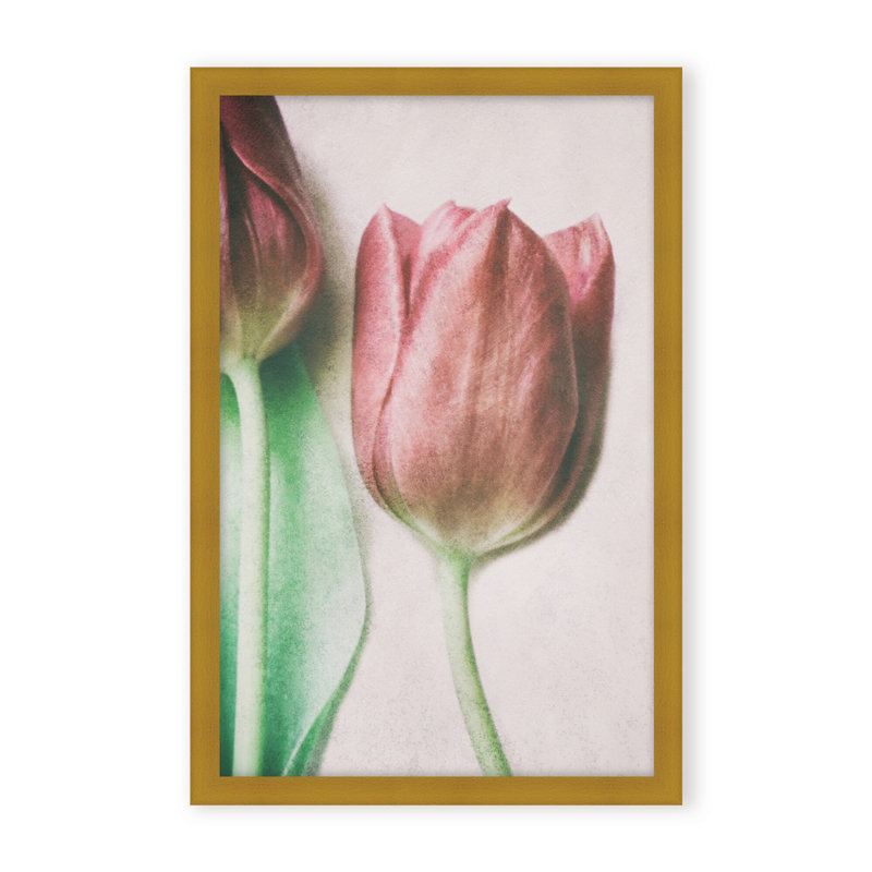 Nature Inspired The Spring Lovers by  - Picture Frame Graphic Art on Paper, 48" H x 32" W x 1.125" D, Framed Matted Print